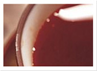 专业破解工具的网站攻击软件